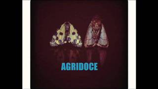 Agridoce - Please, Please, Please, Let Me Get What I Want