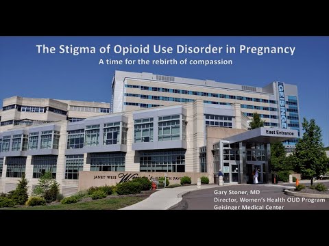 Maternal Mental Health and Substance Use Disorder Panel Discussion