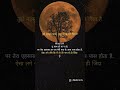 Heart Touching Sad Hindi Shayari 2025 Shayaristatus Shayari Love Sad Poetry Urdushayari