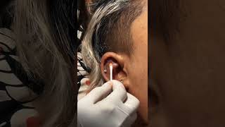Download lagu The piercing is sinking! | PIERCING INFECTION? mp3 Download lagu The piercing is sinking! | PIERCING INFECTION? mp3