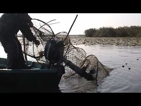 PESCUIT INDUSTRIAL IN DELTA DUNARII