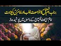 Imam Hassan (AS) Wiladat | 15 Ramadan | Aik Khobsorat Khawab | Tasshayyo