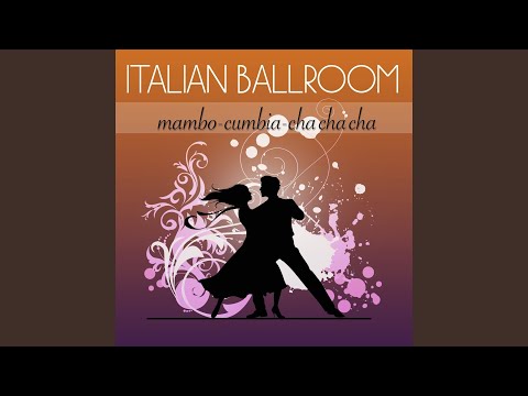 Allegro Bajon (feat. Stefano Linari) (Bajon 24 bpm)