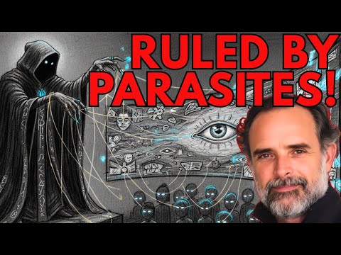 Why the System Needs You Confused & Obedient | With Nick Hudson