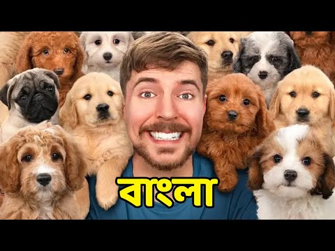I Adopted 100 Dogs! Bangla Mrbeast মিস্টার বিস্ট বাংলা