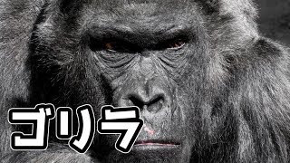 【ゴリラが人類を強制的にSTAY HOMEさせるゲーム】自粛生活におススメなゴリラゲーム　実況プレイ