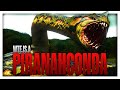 Piranhaconda Simply DEFIES All SCIENTIFIC EXPLANATION