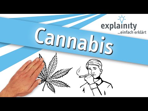Cannabis einfach erklärt (explainity® Erklärvideo)