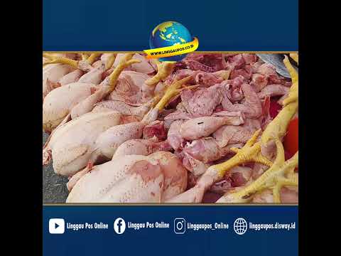 Ayam Murah Pembeli Malah Sepi, Lokasi di Pasar Inpres