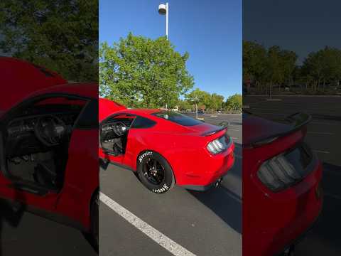 Cammed Custom 5.0 Mustang😍 Chop! Chop! #shorts #cammed #mustang #youtubeshorts