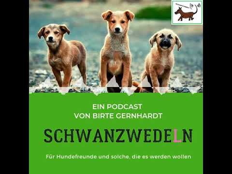 22 Assistenzhundetrainerin - Schwanzwedeln