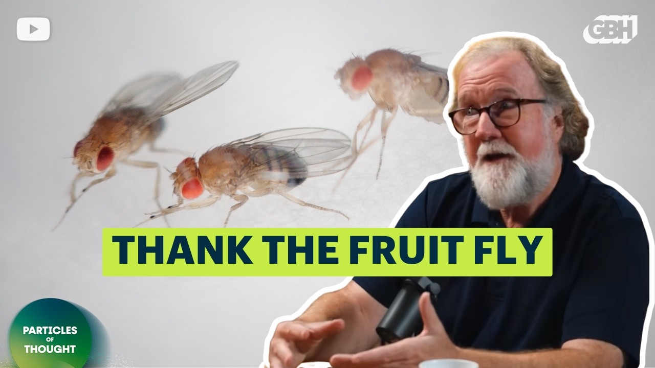 How the Fruit Fly Revolutionized Biology | Sean B. Carroll