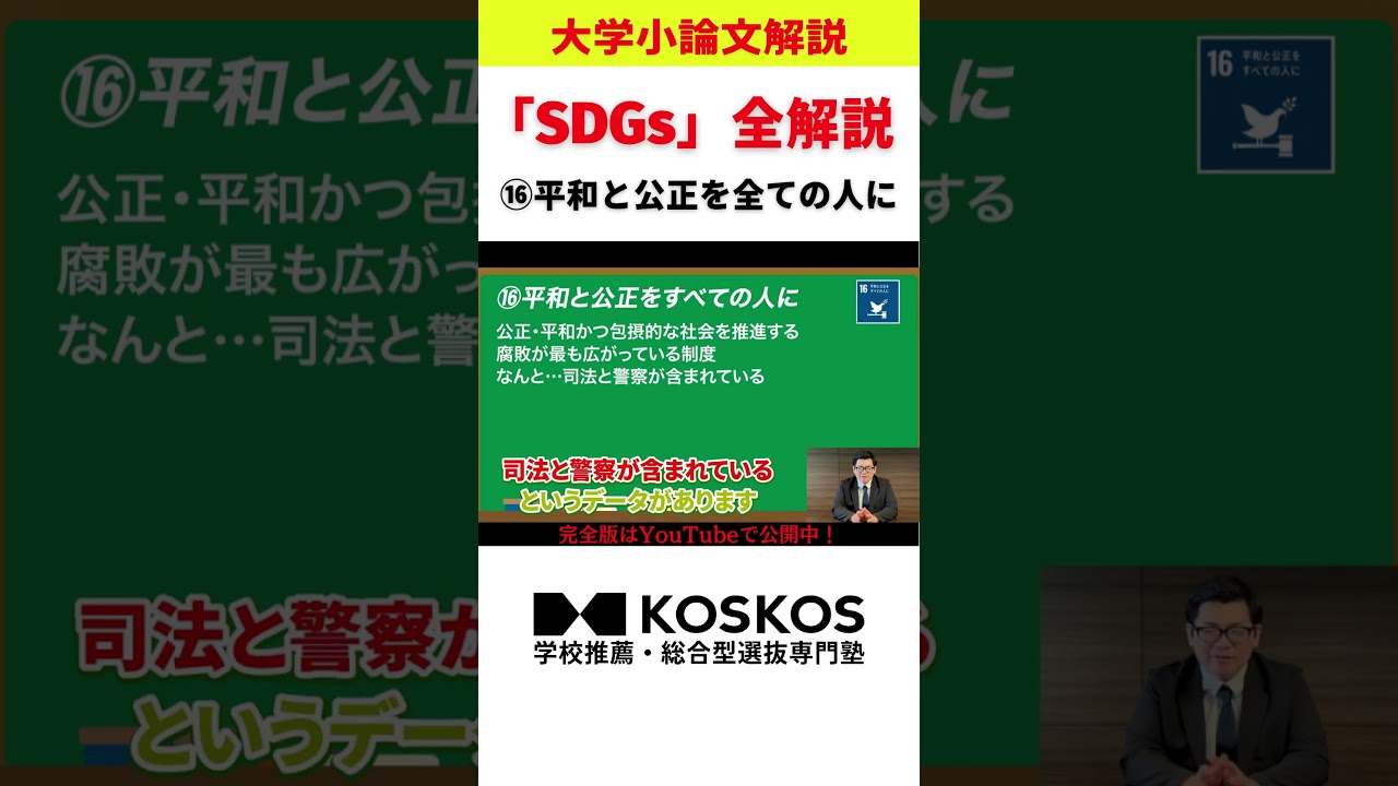 【SDGs】平和と公正を全ての人に　大学小論文解説！
