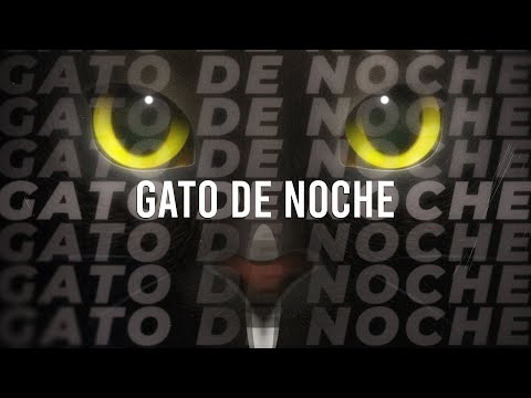Ñengo Flow & Bad Bunny - Gato de Noche (Remix)