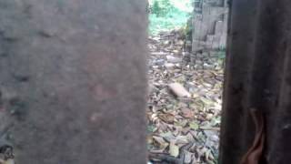 2016 new song tor motoi