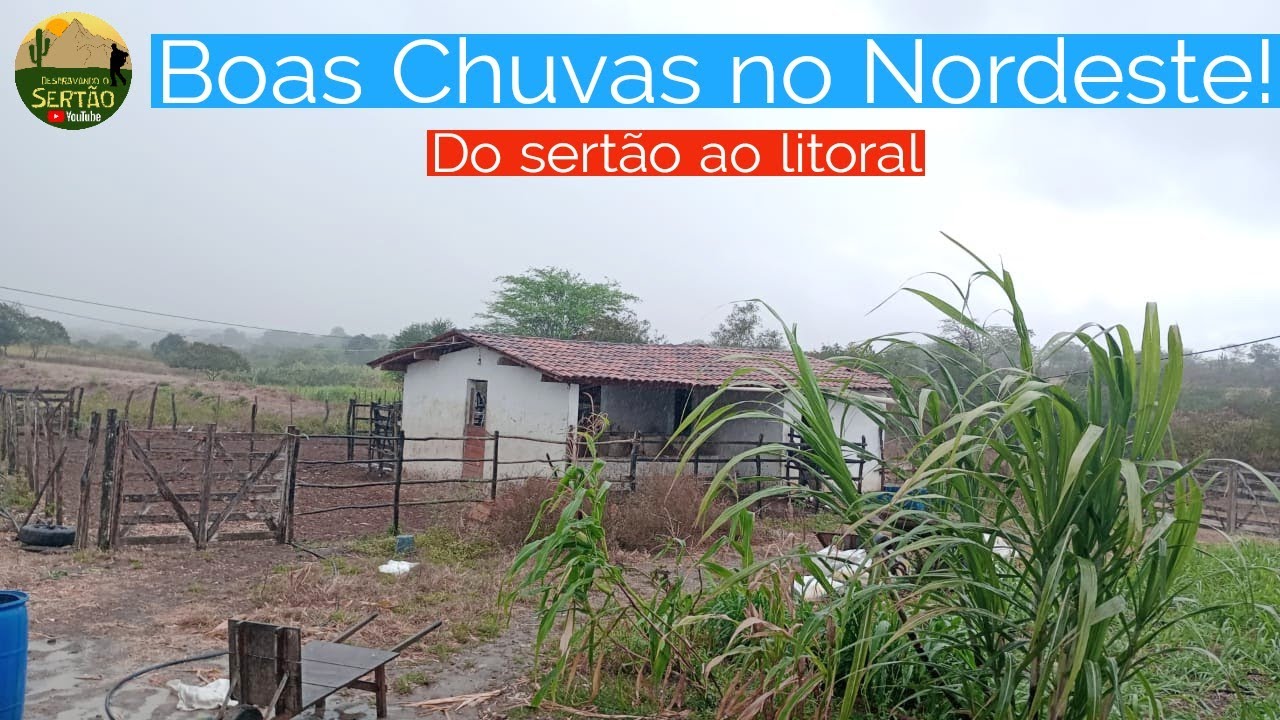 Muita Chuva no Nordeste: Super Vídeo!🤩 v09