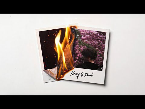 Snaxo - YOUNG & DUMB (Official Visualizer)