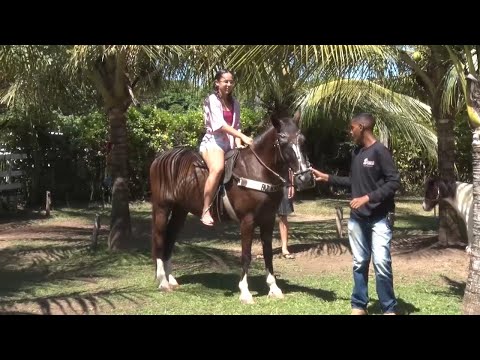 Teresinenses buscam turismo na zona rural na Fazenda Novo Rancho 13 08 2022