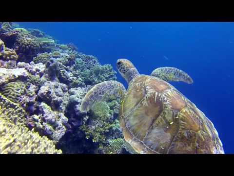 Centro de mergulho Plongée Île des Pins Kunie