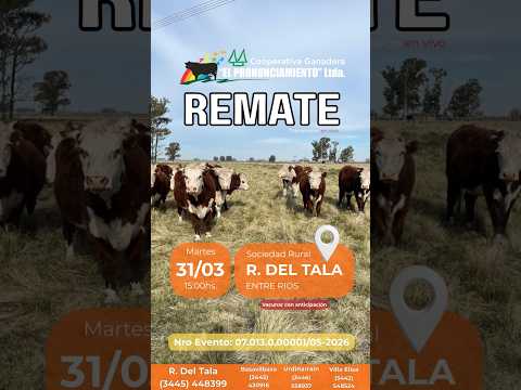 Remate de hacienda Rosario Del Tala 31-03-2026 | Coop. Ganadera El Pronunciamiento