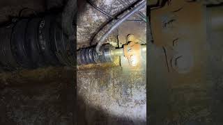 Download lagu Pss seal noise mp3