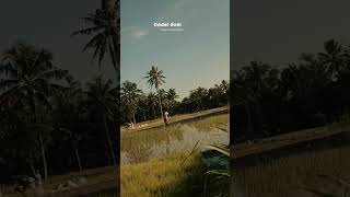 Download lagu Wong Sepele Lirik Story (Ndarboy Genk) - Woro Widowati Cover || Kadang pingin ngeluh #storywa mp3