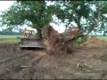 D6D pushing huge stump