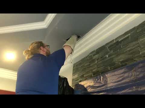 Removing a Yellow Jackets Nest in the Attic in Farmingdale, NJ