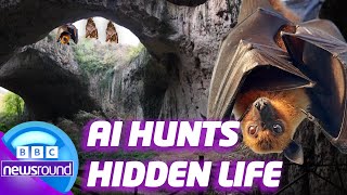 How AI is helping Scientists | Your Planet | News For Kids