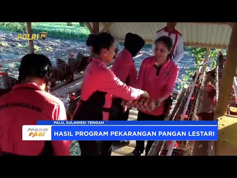 KETUA BHAYANGKARI PANEN RAYA P2L DI SATBRIMOB POLDA SULTENG, DORONG KETAHANAN PANGAN