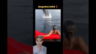 Download lagu beginilah suara paus biru‼️ #shorts #edukasi #tiktok mp3