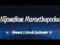 Nijamellam Maranthupochu Dhanush Anirudh Ravichander