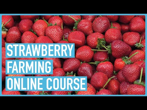 Profitable Pig Farming and Best Practices for success Course Outline