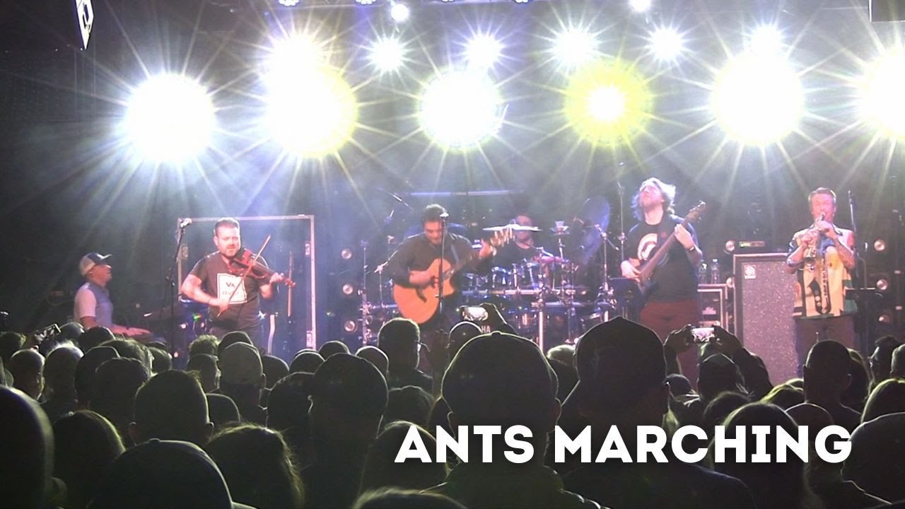 Ants Marching | 5/11/24 | Pembroke, MA