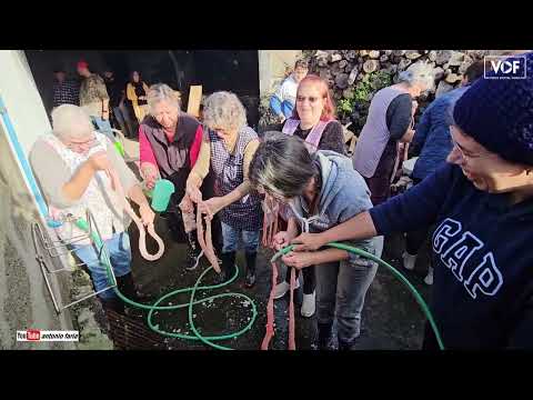 Tradicional matança do porco, Família José Eduardo 2024 na Madalena Ilha Pico Açores