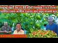 Scotch Bonnet ස්කොච් බොනටි නයි මිරිස් වගාකරන හ