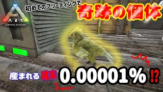 【社会人設定Ark】サバイバル11日目　アルゲンの卵はじめて孵化したら奇跡が起きた！！