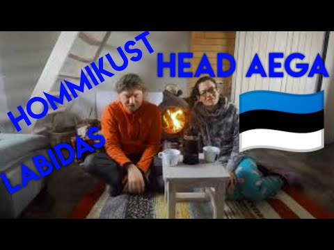 Arbeiten und Leben in Estland. #vlog17