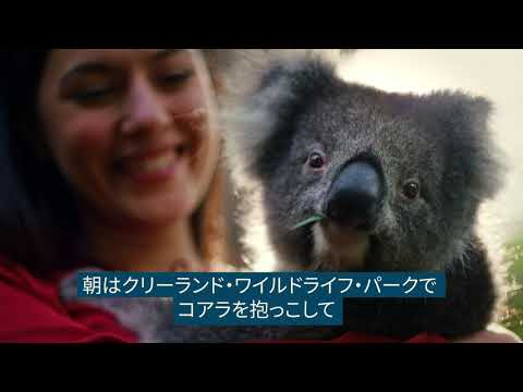 アレクサンドリーナ湖に注ぐマレー川の河口