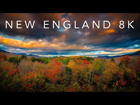 A GLIMPSE OF NEW ENGLAND | 8k Time-lapse Film