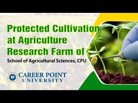 Protected Cultivation at Agriculture Research Farm of School of Agricultural Sciences, CPU
