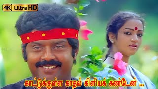 Download lagu காட்டுக்குள்ள காதல் கிளியக் கண்டேன் பாடல் | Kattukulla Kadhal Kiliye song | S. Janaki | Vijayakanth mp3 Download lagu காட்டுக்குள்ள காதல் கிளியக் கண்டேன் பாடல் | Kattukulla Kadhal Kiliye song | S. Janaki | Vijayakanth mp3