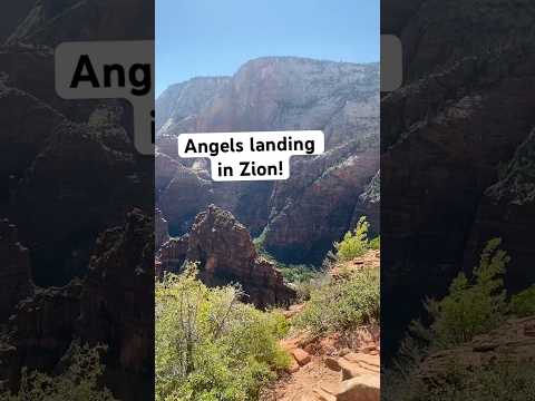 Angels Landing In Zion! 🤯