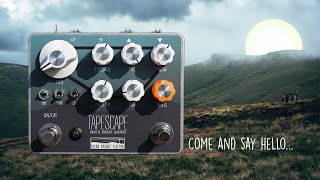 Video thumbnail for Is this the best new delay pedal of 2023? The Tapescape by Bleak District Electric by Nick Rees