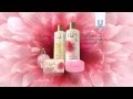 Temukan Kemewahan Baru LUX Classic Collection
