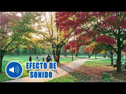🆓[FREE]🔊🏞SONIDO DE PARQUE CON SONIDO DE PÁJAROS🐦 |Efecto de sonido|