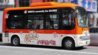 preview picture of video 'ハチ公バス　可愛い　／　Shibuya Community bus HACHIKO'