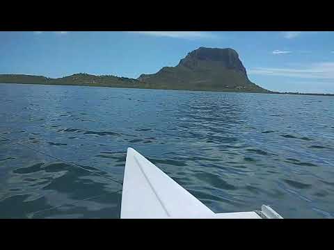 DESTINY;Toto Celerine(band/natir samarel)