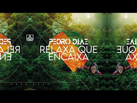 PEDRO DIAZ - RELAXA QUE ENCAIXA