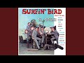 Surfin Bird